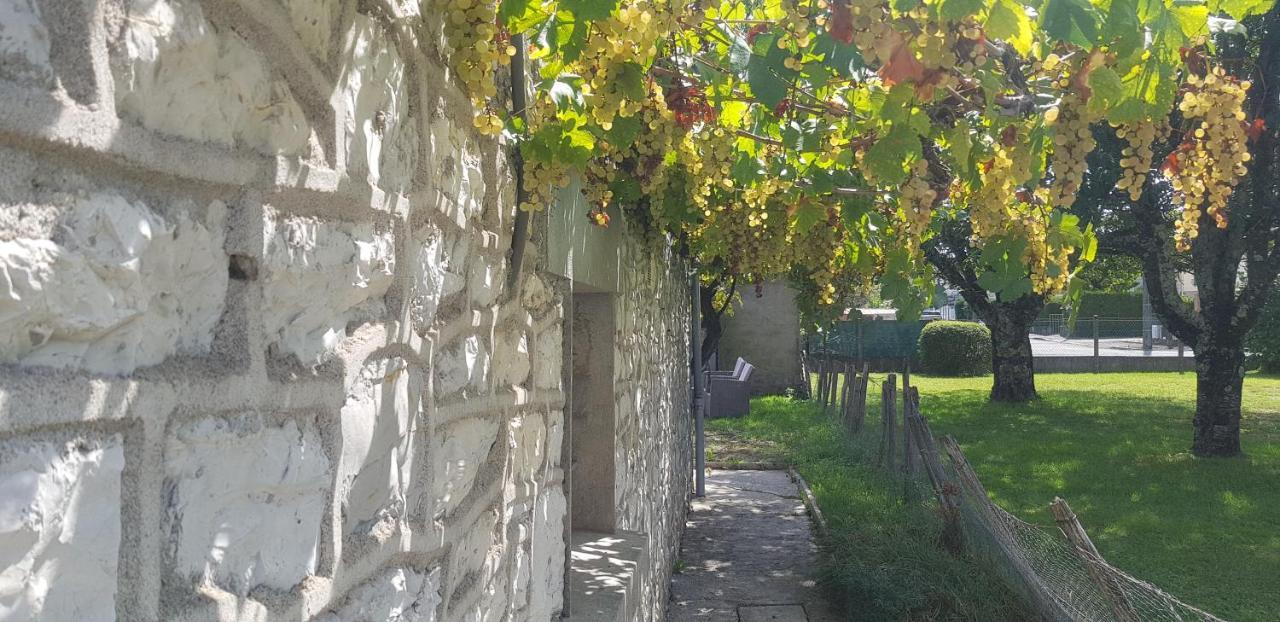 Wifi Clim Garage Jardin Bbq Cosy House Villa Brive-la-Gaillarde Exteriör bild